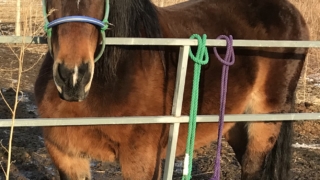 Thumbnail of post image 002