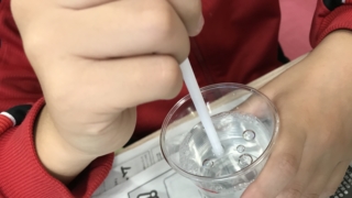 Thumbnail of post image 095