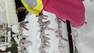 Thumbnail of post image 179