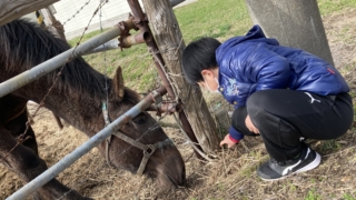 Thumbnail of post image 004