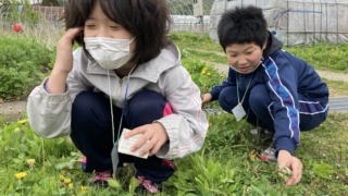 Thumbnail of post image 120