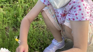 Thumbnail of post image 152