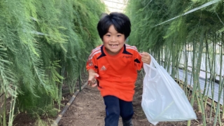 Thumbnail of post image 082