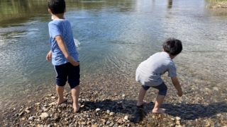 Thumbnail of post image 174