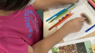 Thumbnail of post image 180