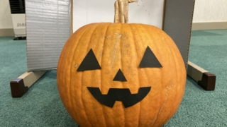 Thumbnail of post image 040