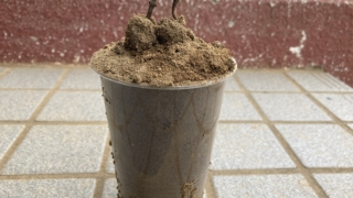 Thumbnail of post image 152