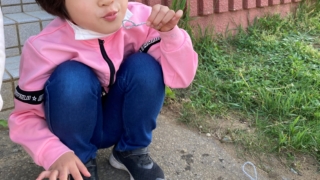 Thumbnail of post image 157