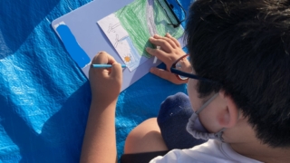 Thumbnail of post image 195