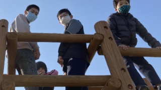 Thumbnail of post image 173