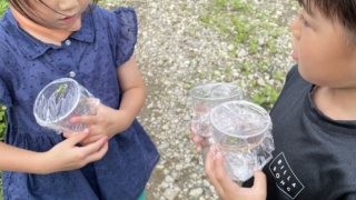 Thumbnail of post image 191