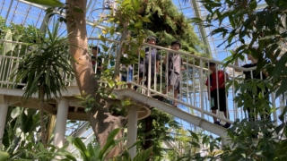 Thumbnail of post image 002