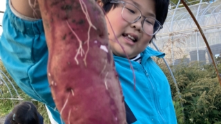 Thumbnail of post image 194