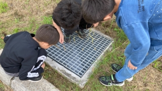 Thumbnail of post image 100