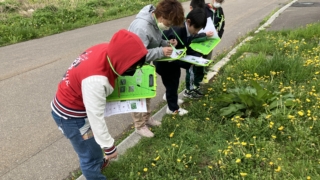 Thumbnail of post image 078