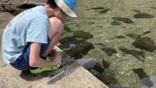 Thumbnail of post image 199