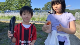 Thumbnail of post image 096