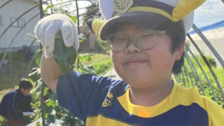 Thumbnail of post image 061