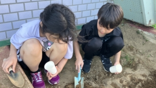 Thumbnail of post image 170