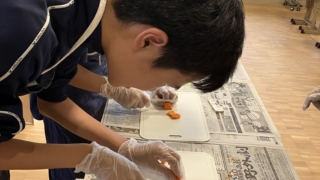 Thumbnail of post image 059