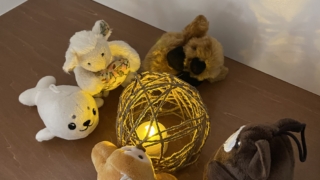 Thumbnail of post image 066