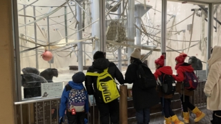 Thumbnail of post image 060