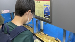 Thumbnail of post image 063