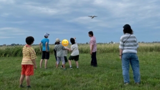 Thumbnail of post image 175